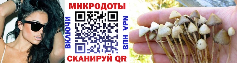 Псилоцибиновые грибы MAGIC MUSHROOMS  МЕГА ссылки  Грязи 